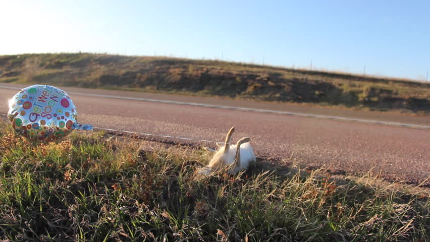 Get Well Dead Rabbit Road Background