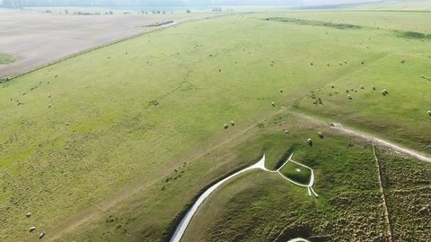 Aerial view looking across a hillside with a large white horse on the side made from chalk 