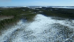 Aerial high altitude drone shot of a Nordic pine bog in winter.