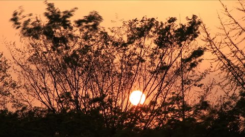 Time lapse of beautiful landscape of sun coming down through trees at sunset