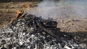footage man burns leaves outdoors. Full hd video