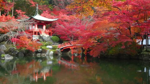 Kyoto, Japan - Nov 24, 2013 : time lpase Daigo-ji temple with colorful maple trees in autumn, Kyoto, Japan