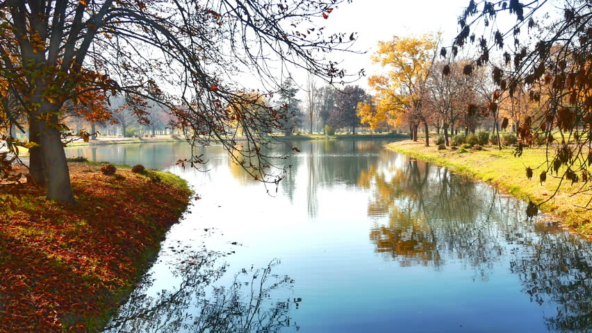 autumn in national park 4k
