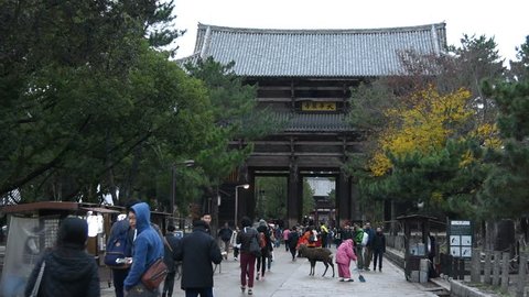 KYOTO, JAPAN - NOV 26: tourist Nara Parkon on November 26, 2015 in Kyoto, Japan. 