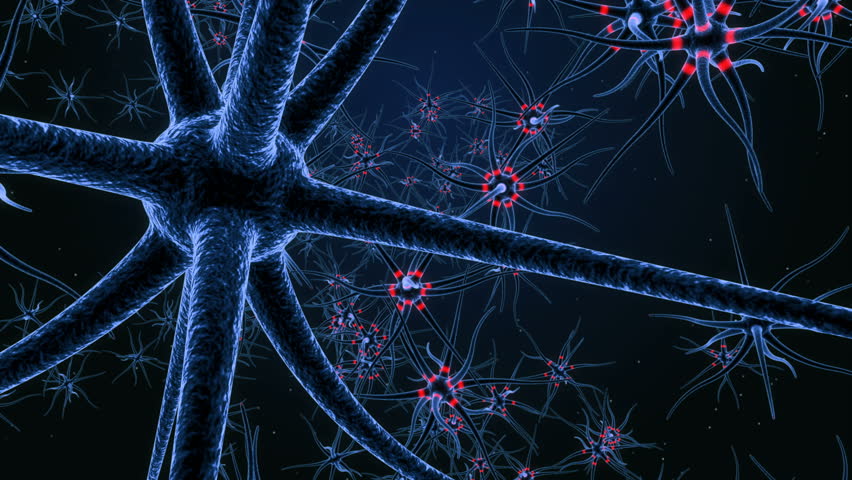 neurons brain loop 3d animation neural Stock Footage Video (100% ...