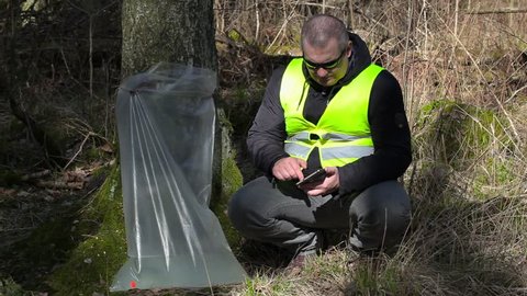 Forest Officer using tablet PC near tree with birch juice