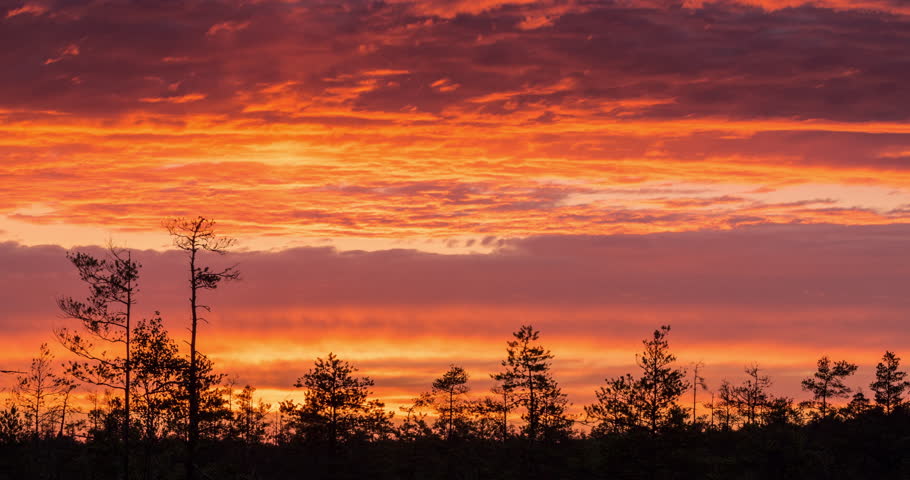 Time lapse of colorful sunset over marshland treeline