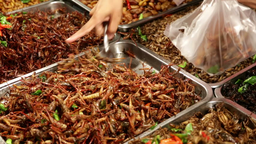 Cooked insects from metal tray at food market stand being spooned into plastic bag with other metal trays full of different types of insects Royalty-Free Stock Footage #15990385