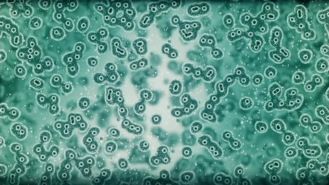 microbiology intro, popular scientific animated background with bio cells. 4k