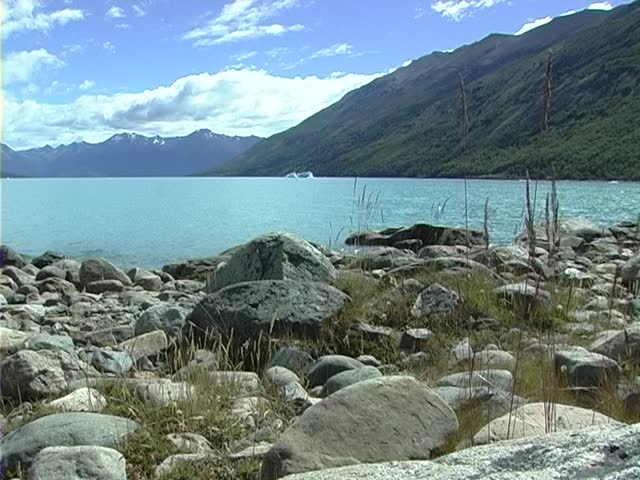 Bank of lake
