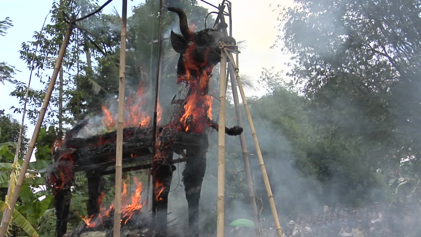 A Brahma Bull burns during a Balinese cremation ceremony