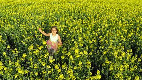 Beauty young girl running on yellow rape field in rural countryside. Happy Freedom woman outdoors concept. Aerial flight over the rape field in sunset light, Aerial shot