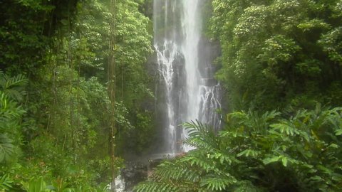 A tropical waterfall flows through a dense rainforest in Hawaii