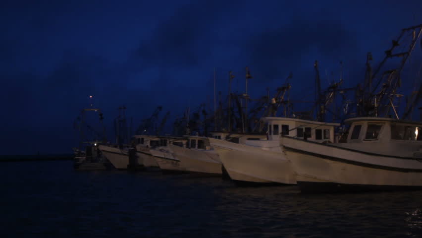 Boats in harbor with seabirds in early morning light.  Ship names blurred.