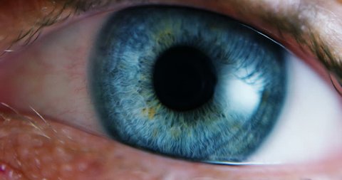 Close-up Macro Shot of male Human blue green Eye Blinking 