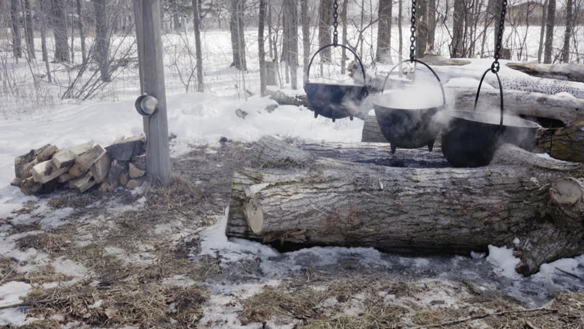 maple suryp fire winter in ontario 4K video