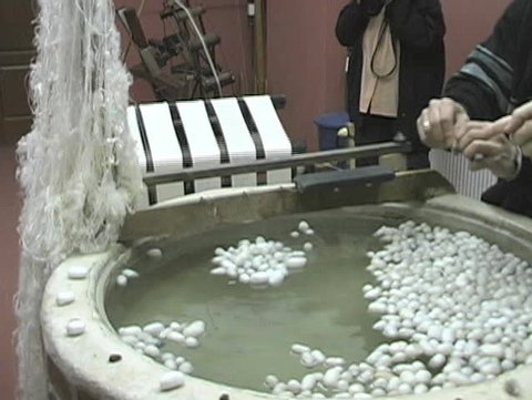 How the silk is made from the silkworm