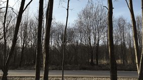 Athlete in red to clothes runs on asphalt and the camera removes him being in the forest. Slow motion video.