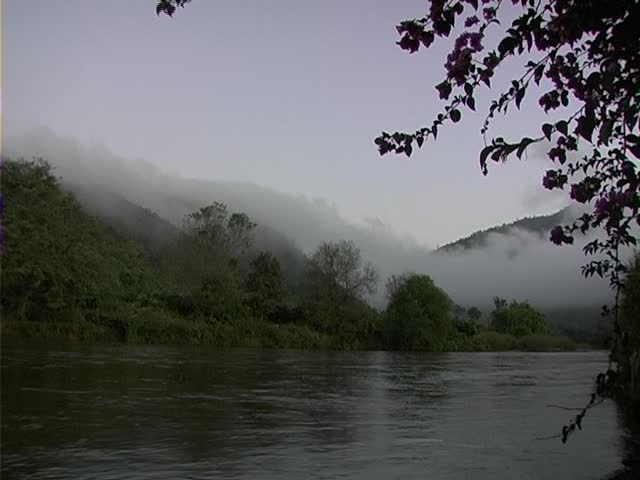 Morning on the river