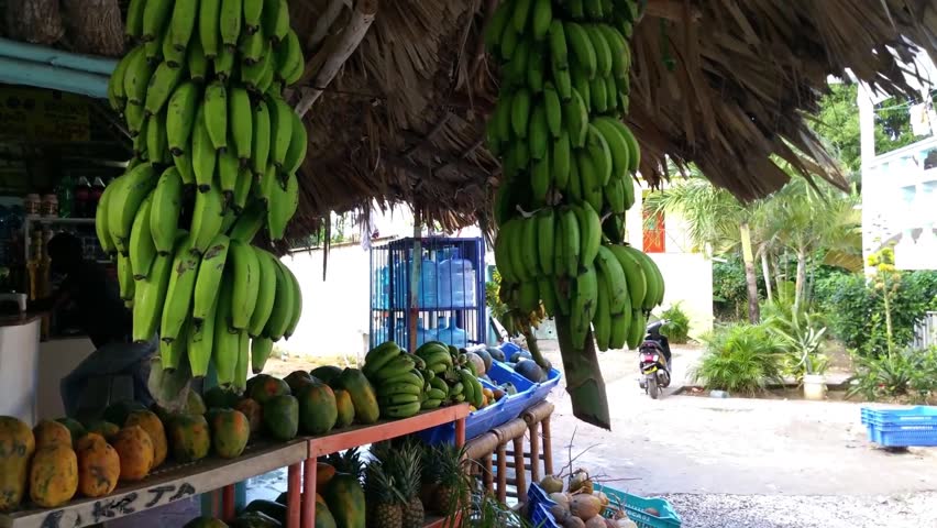 Fruit market with melons, bananas, tangerines and papayas in las terrenas, samana, domenican republic Royalty-Free Stock Footage #16103734