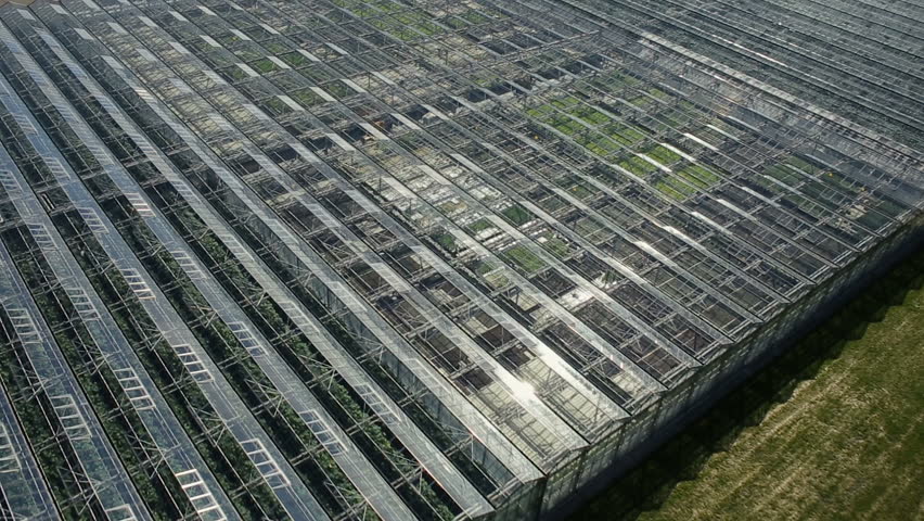 agricultural industry greenhouse
