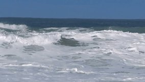 Ocean wave sea bird seagull flying over waves storm sea spray