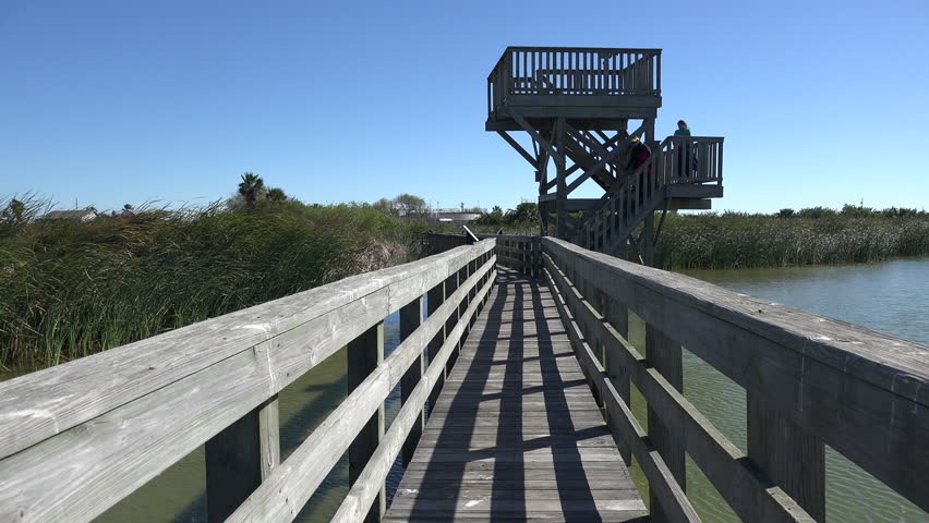 Birders climb down from a viewing tower on a boardwalk leading into a marshy wildlife refuge in Texas.