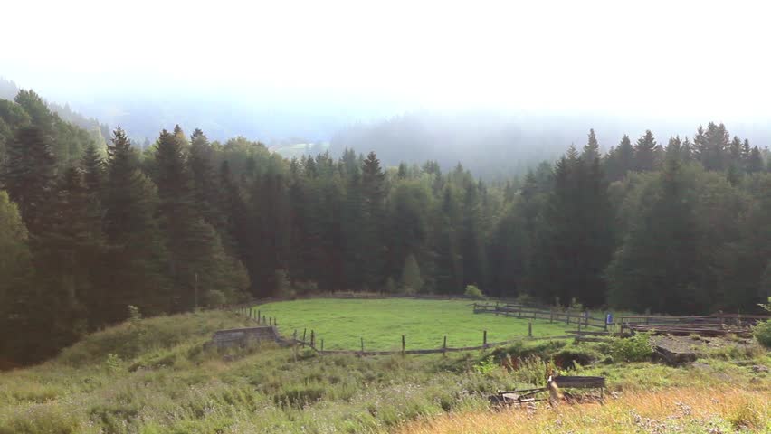 The landscape in the Carpathian mountains. HD