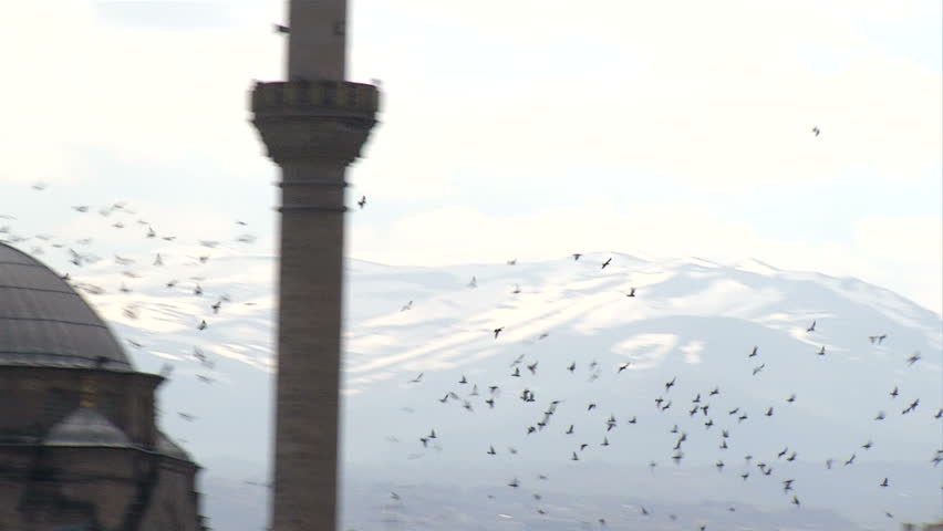 Birds are flying near mosque in Kayseri-Turkey