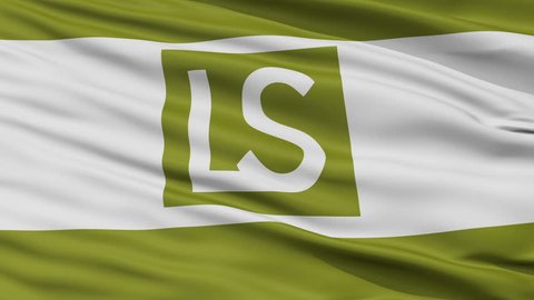 Lee's Summit City, Missouri Flag Close Up Realistic Animation Seamless Loop - 10 Seconds Long