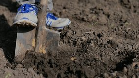 man  farmer digs the ground old dirty shovel on dry ground slow-motion video