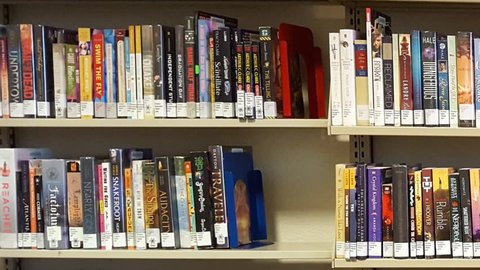 Tucson, AZ, USA - 04/25/2016 - Scanning the books on a shelf at a public library