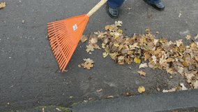 rake up autumn leaves in the street