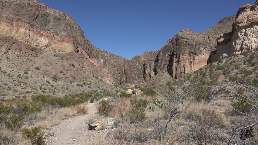 A view looking toward Burro Mesa Pouroff in Big Bend National Park.