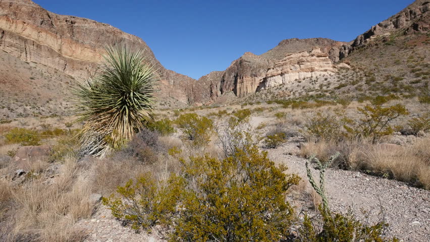 A view looking toward a canyon cut into a mesa in Big Bend National Park.