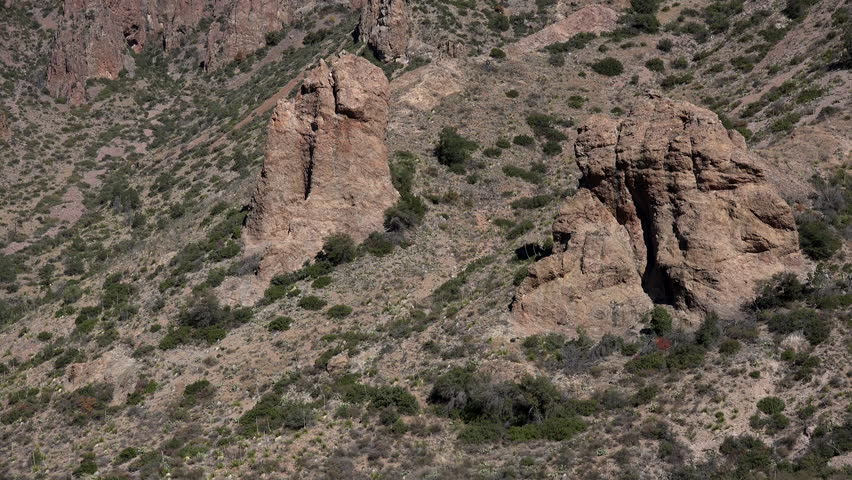 Zooming out from a hillside in the Chisos Mountains of Big Bend National Park.