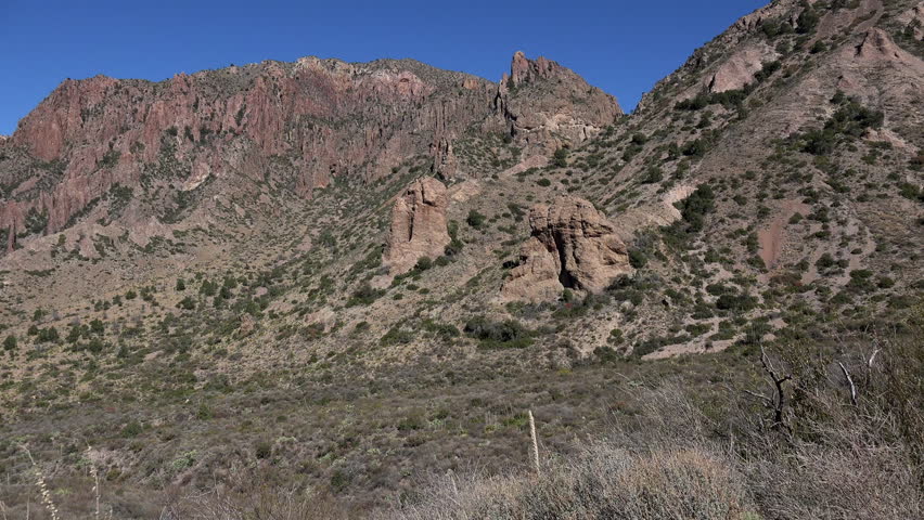 Zooming in on a hillside in the Chisos Mountains of Big Bend National Park.