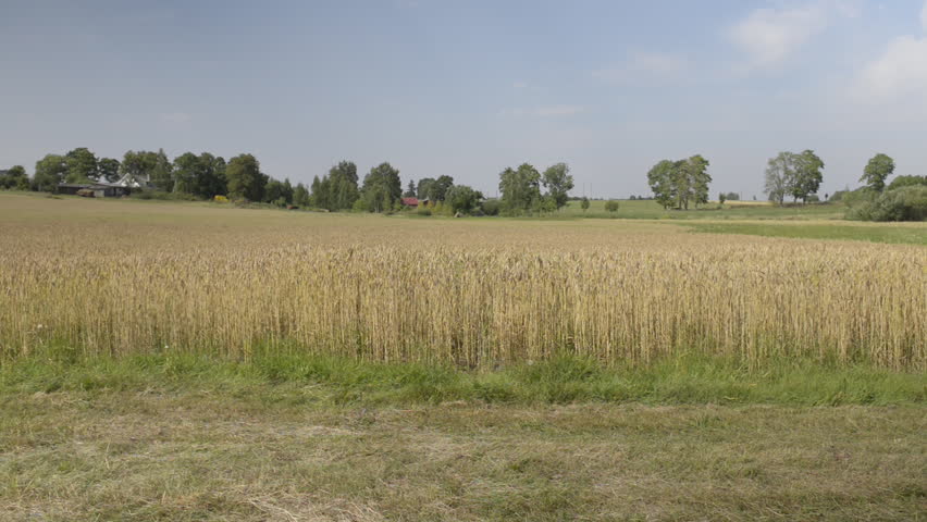 Old man on the horse cart. A cart is a vehicle designed for transport, using wheels and normally pulled by one or more of draught animals. Even today there are people who use the carts.