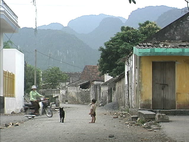 September - 1998 - Hanoi, Vietnam - Boy and dog in street