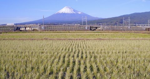 Japan, Honshu, Mount Fuji, Shinkansen Bullet Trains passing through harvested rice fields below the snow capped volcano - 01/12/2015