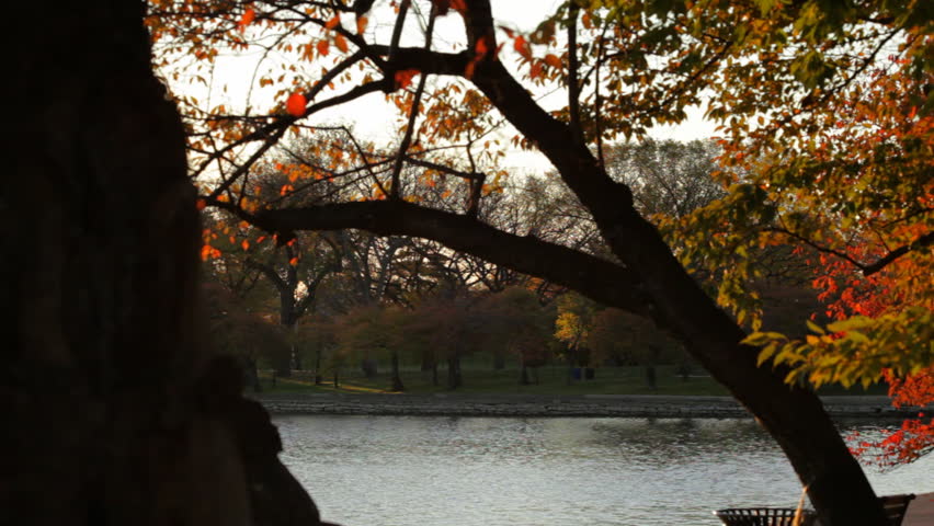 jefferson memorial at dawn