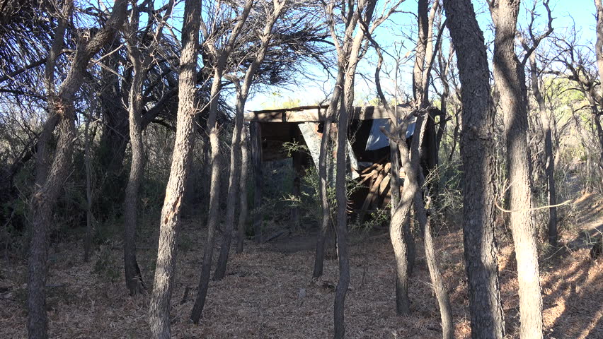 A ruin sits in the woods at the Sam Nail Ranch in Big Bend National Park.
