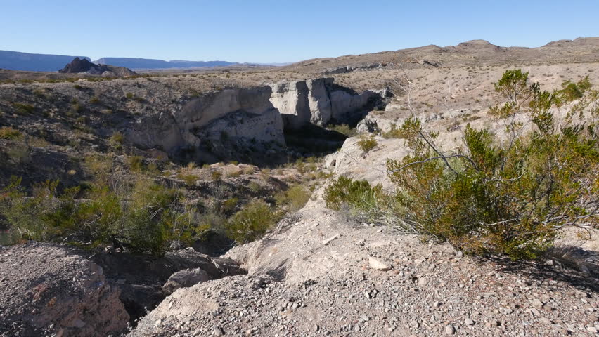 A creosote bush stands on the rim of Tuff Canyon in Big Bend National Park.
