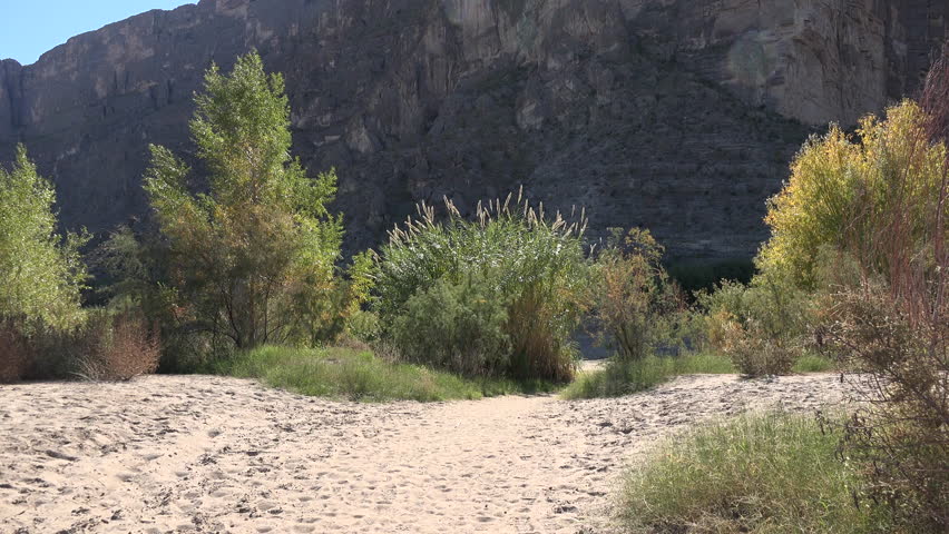 Shrubs grow from sand near Santa Elena Canyon in Big Bend National Park.