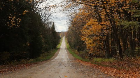 Autumn road. Falling leaves. View of empty rural road in Ontario, Canada. Leaves falling from trees. 