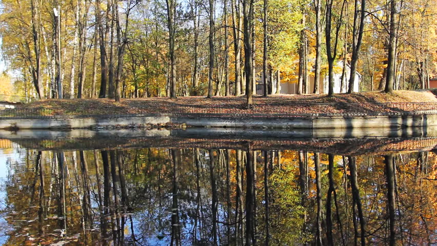 beautiful autumn woods on shore of lake and its reflection in water