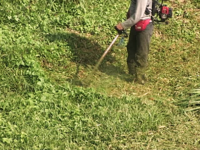 Cutting Grass