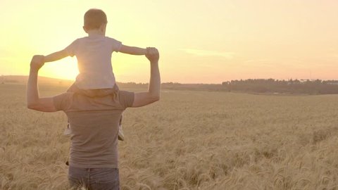 A Father Carries His Son on His Shoulders Walking Through a Wheat field During a Sunset - Slow Motion