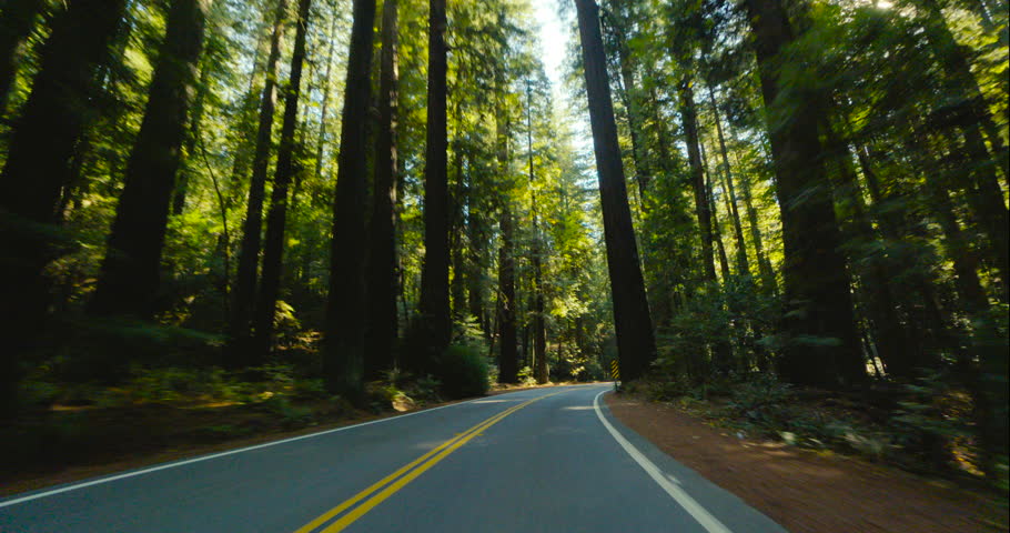 Shutterstock video thumbnail