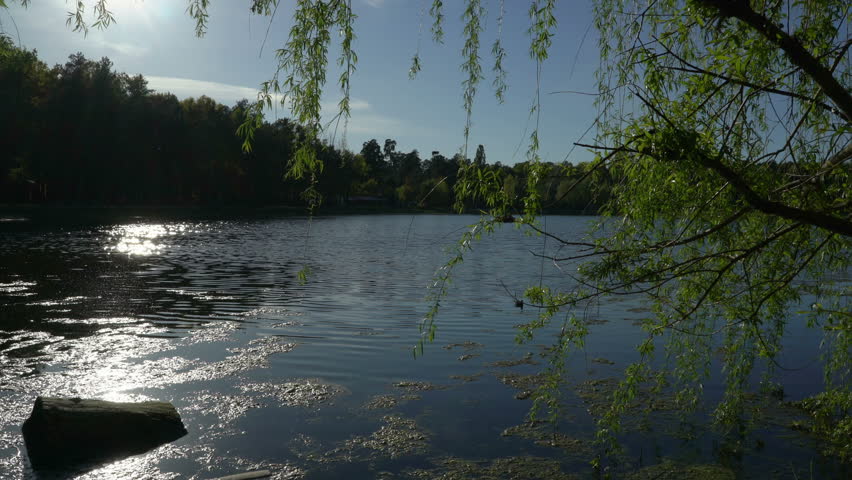 Lake in the forest at sunset outdoors